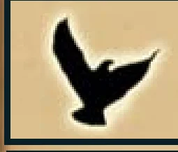 Movement eagle