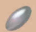 Pebble