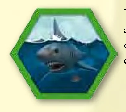 Tile shark immediate