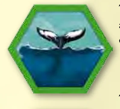 Tile whale immediate