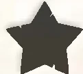 Village objective star