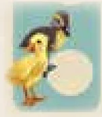 Yellow and black ducklings