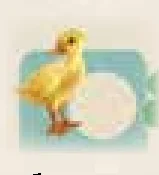 Yellow ducklings