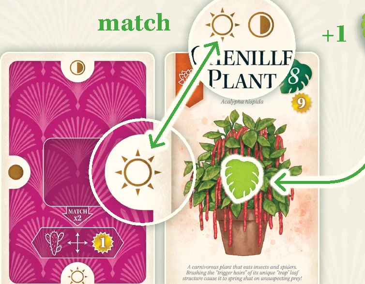 Lighting Match Example Diagram