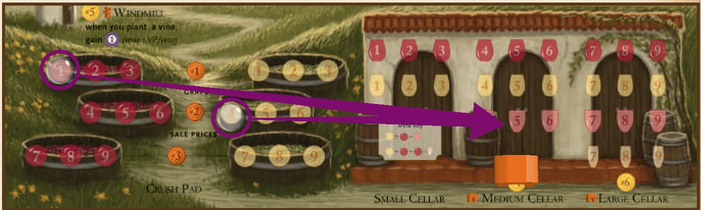 Making Blush Wine Example