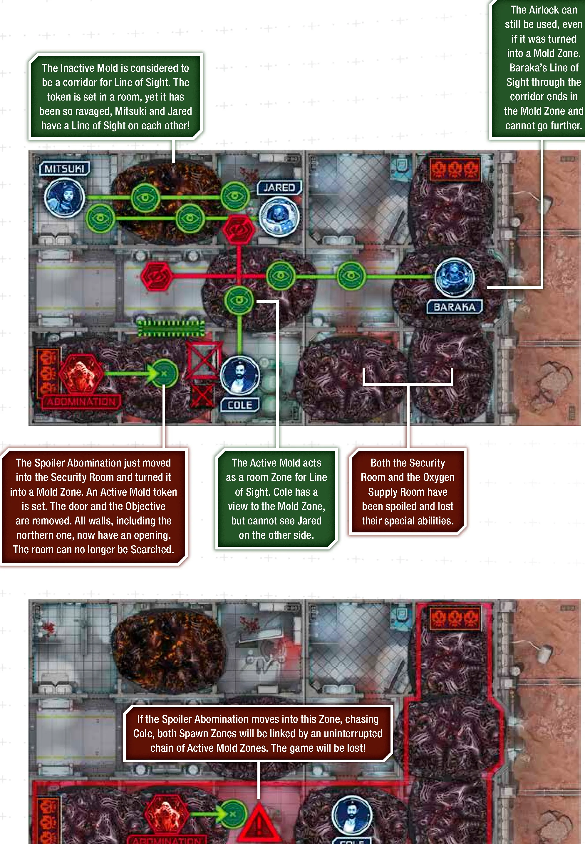 mold_rules_examples