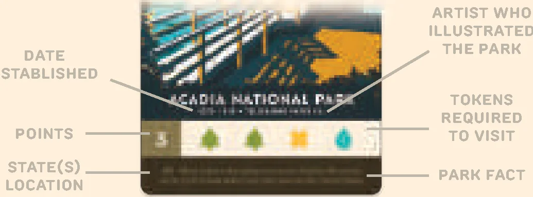 Park card anatomy diagram