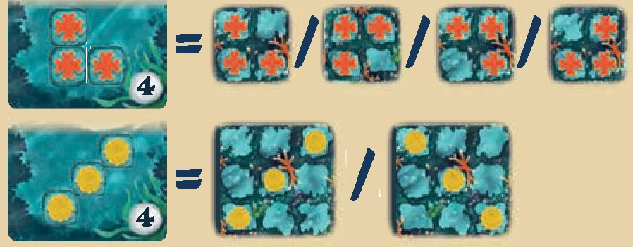 pattern_orientation_rotations