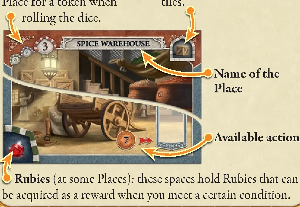 Place tile anatomy