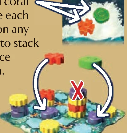 placing_coral_pieces_diagram
