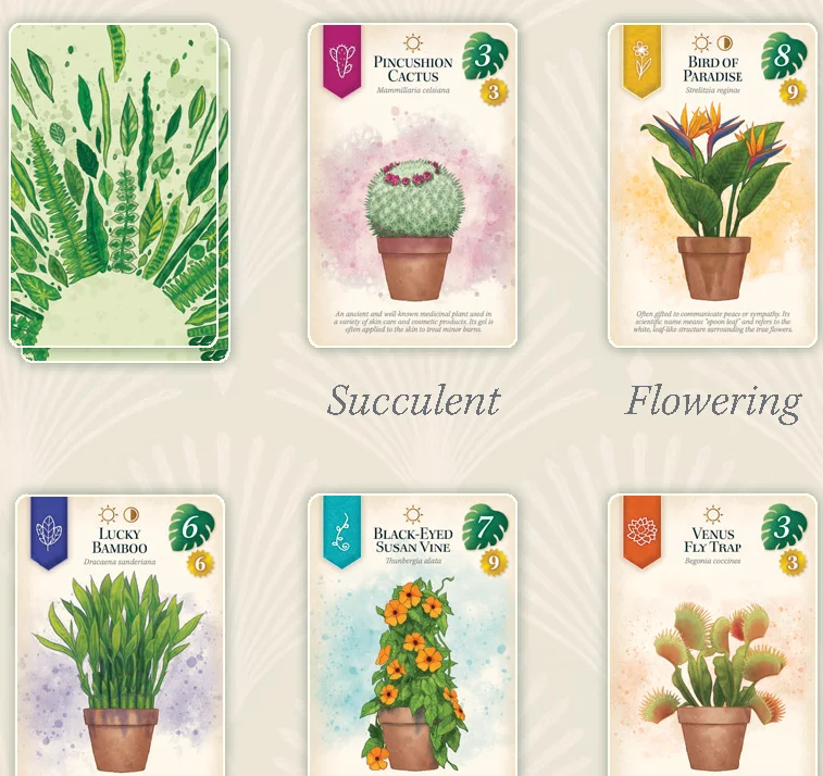 Plant Cards Overview