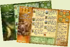 Player aids