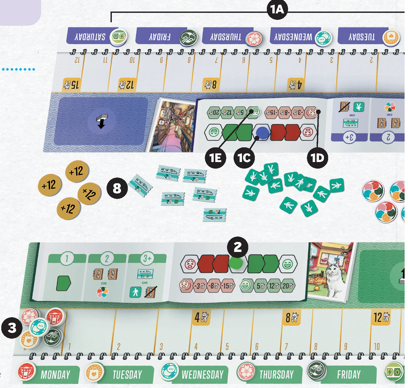 Player Board Setup Diagram