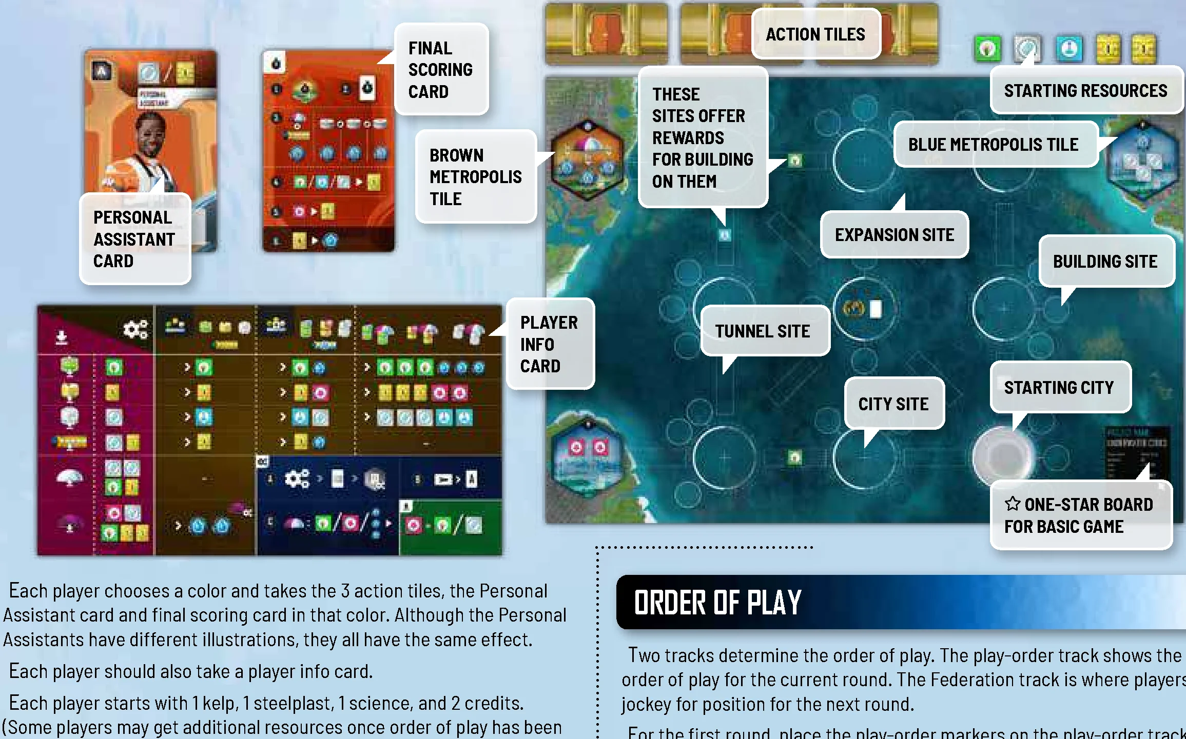 Player Board Setup Diagram