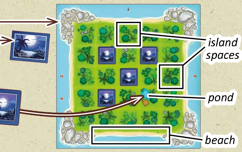 Player island and pond setup diagram