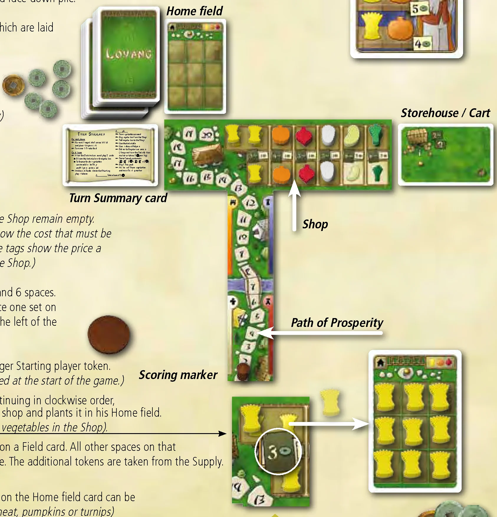 Player setup diagram