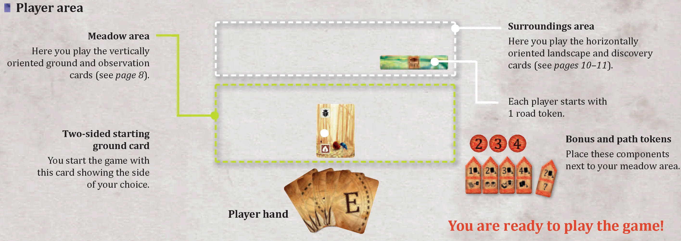 player_area_diagram