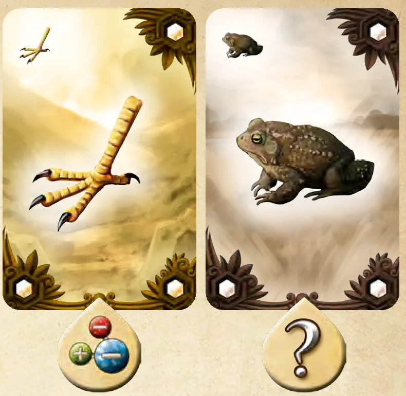 Pop quiz cards: bird claw and toad