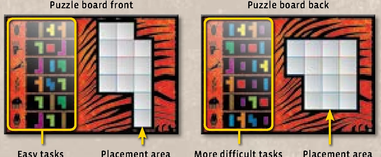 puzzle_board_front_and_back_anatomy