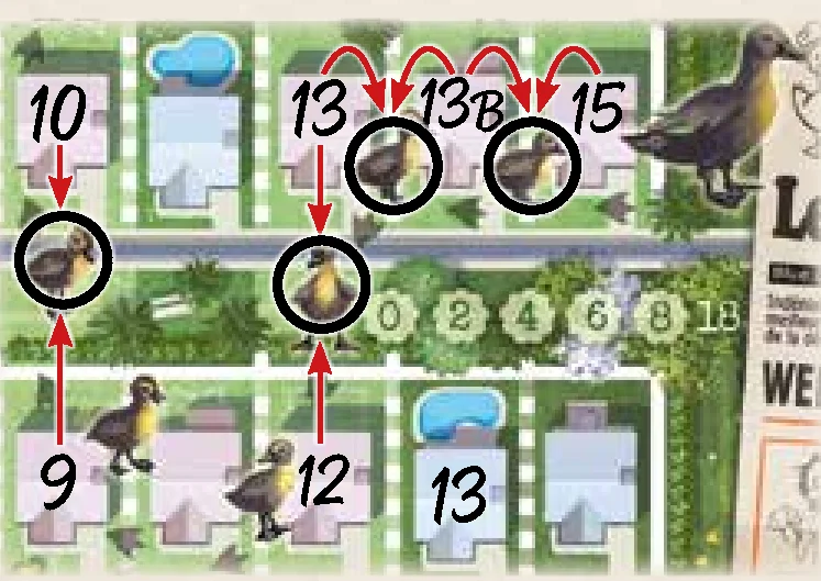 Quack circling and connecting ducklings example