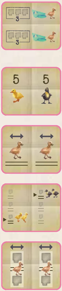 Quack Plan C cards