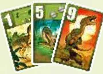 Raptor action cards