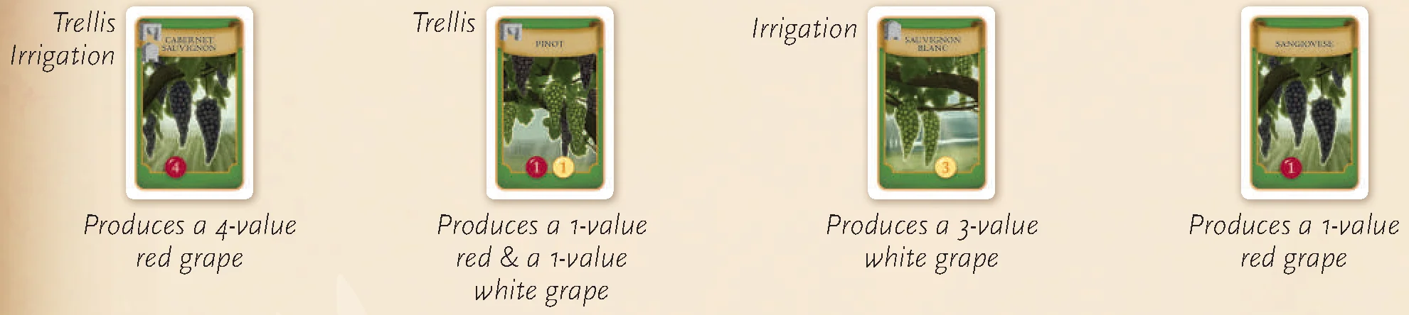 Sample Vine Cards and Prerequisites