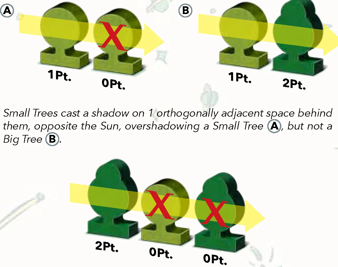 Shadow casting rules and tree points illustration
