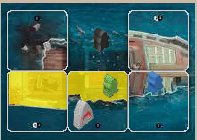 Shark Attack Example Diagram