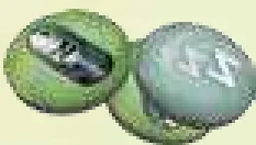 Sleep tokens