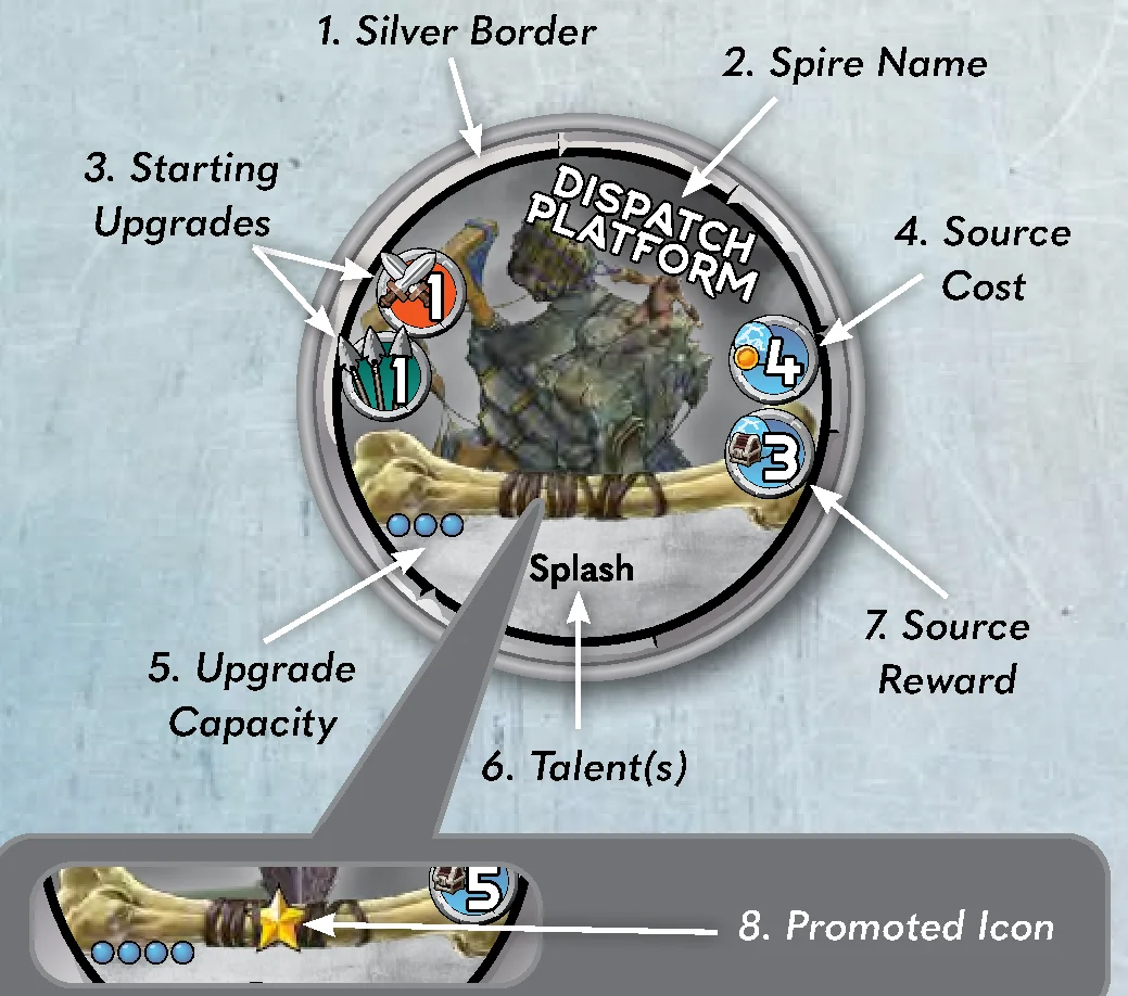 Spire Anatomy Diagram