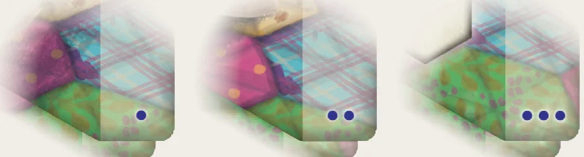 standard_setup_cat_tiles_dots