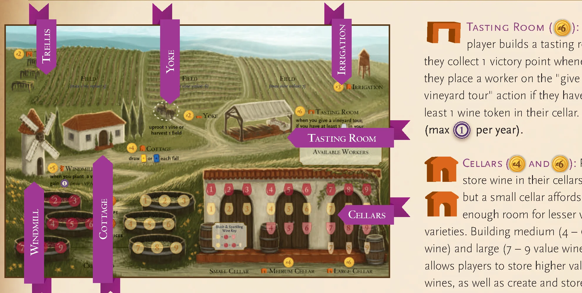 Structures on Vineyard Mat Diagram