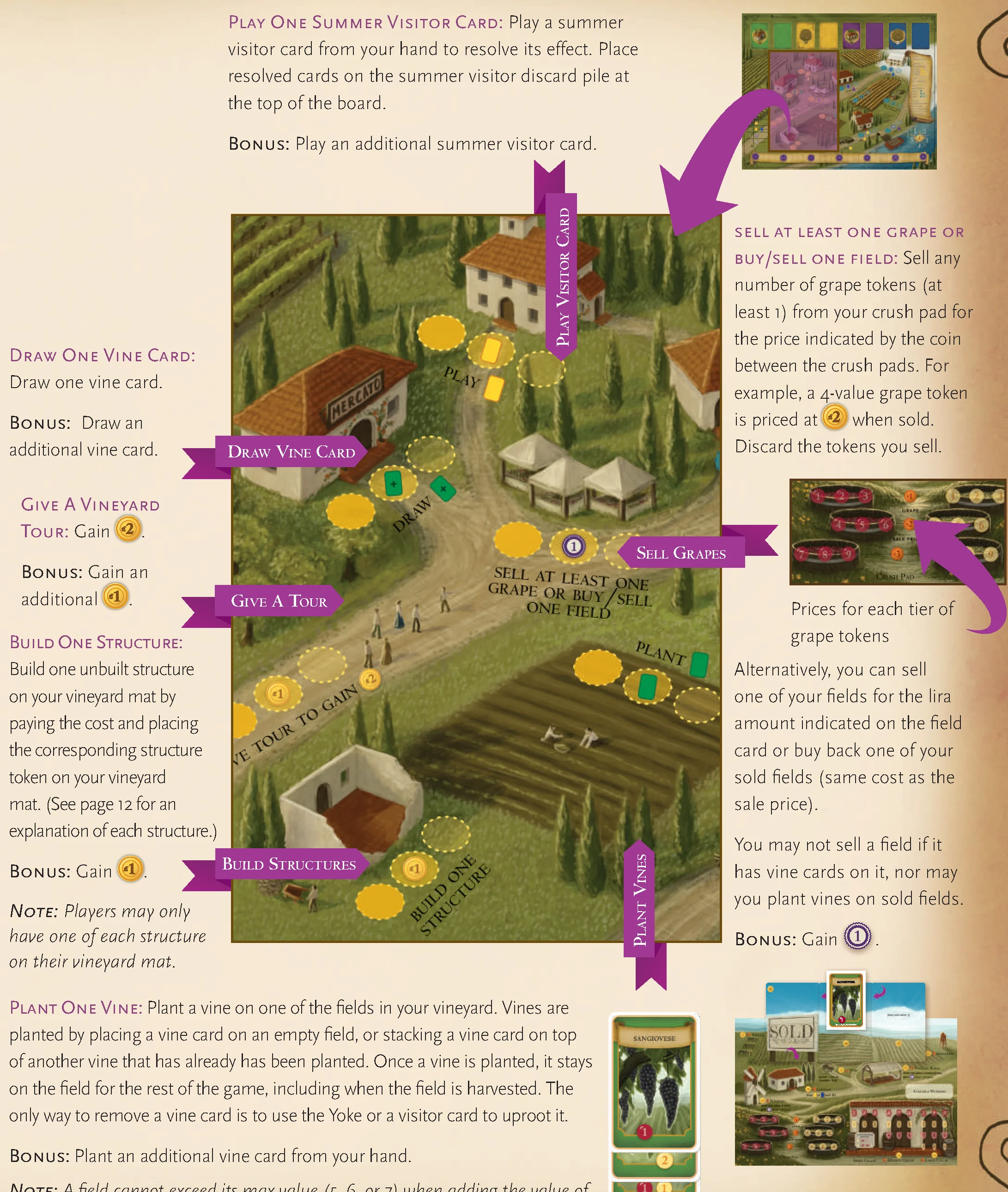 Summer Board Actions Illustration