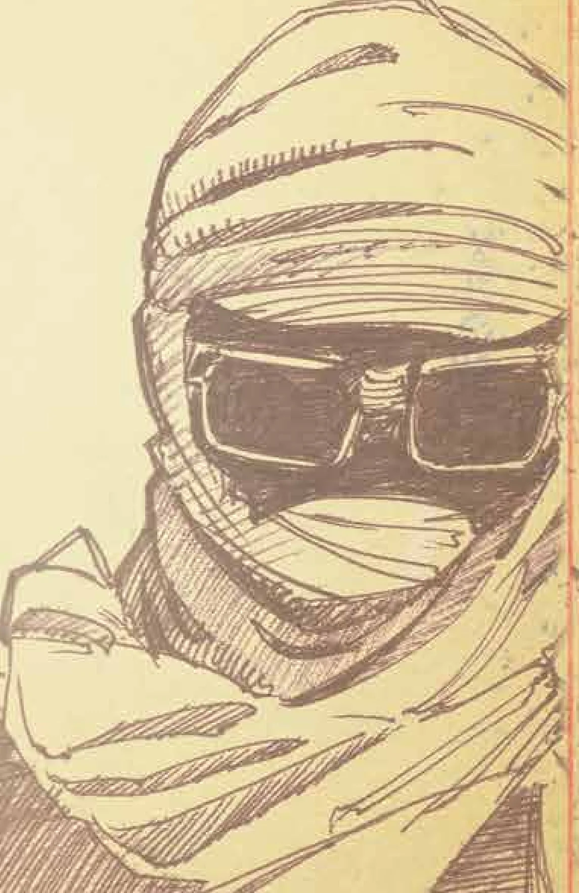 Survivor Illustration