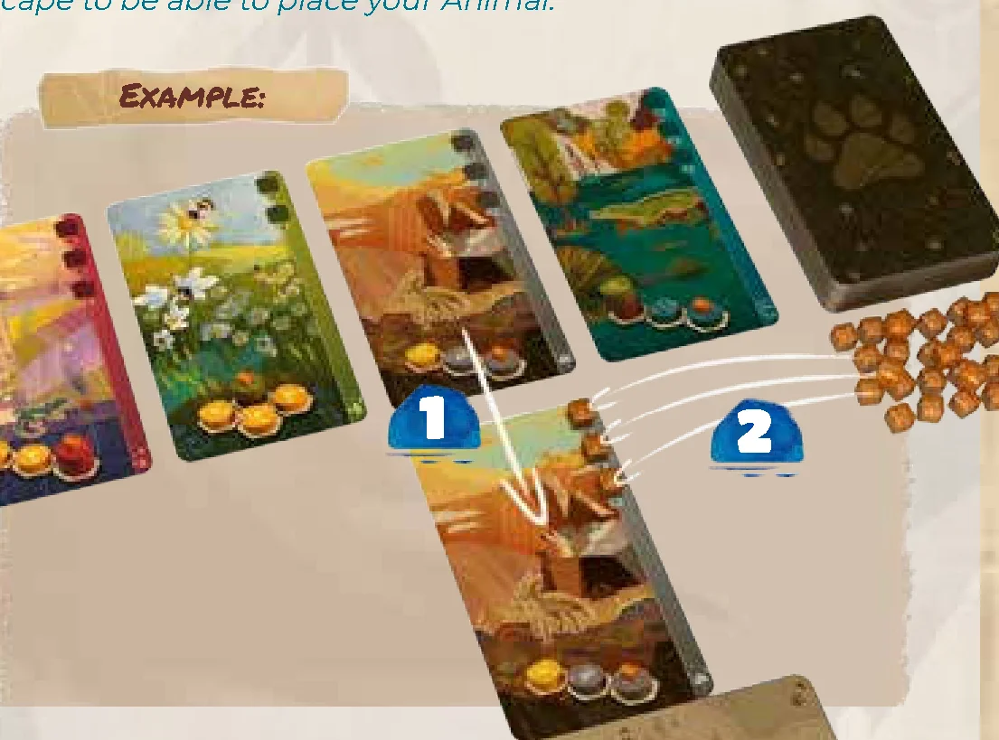 Take Animal Card Example