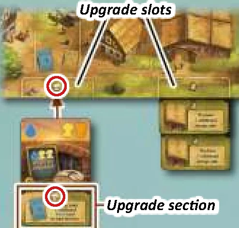 Upgrade slots and card anatomy