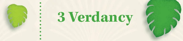 Verdancy Tokens Values