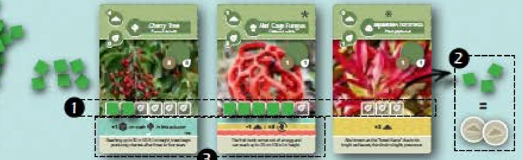 Watering and Sprout Conversion Diagram