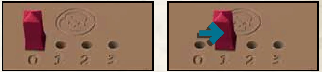 wound_tracker_example