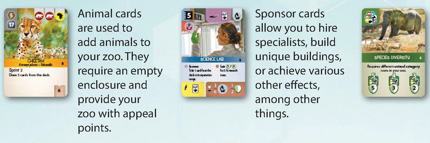 Zoo card types: Animal, Sponsor, and Conservation Project cards