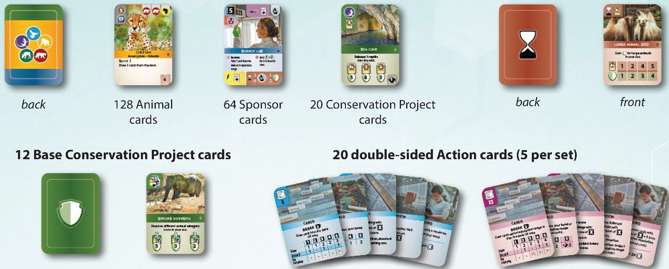 Zoo cards, Final Scoring cards, Base Conservation Project cards, and Action cards