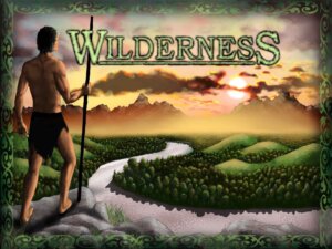 Wilderness board game cover