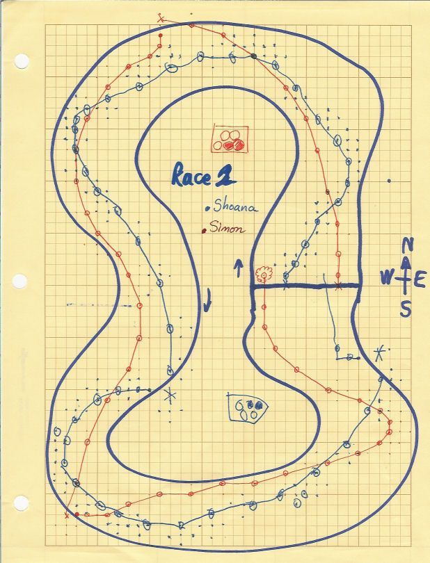 Racetrack board game cover