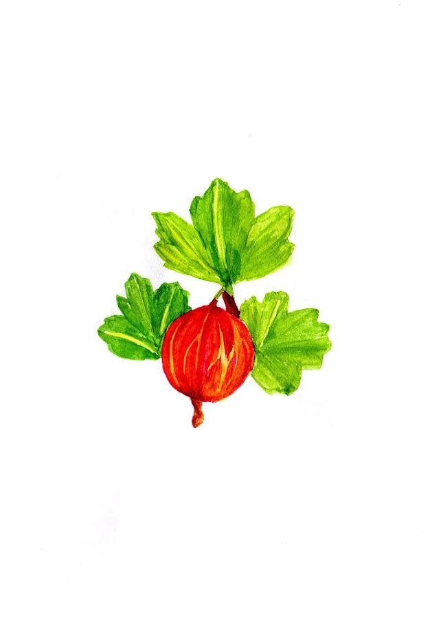 Gooseberry board game cover