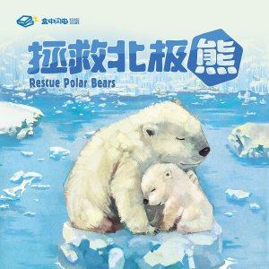 Rescue Polar Bears board game cover