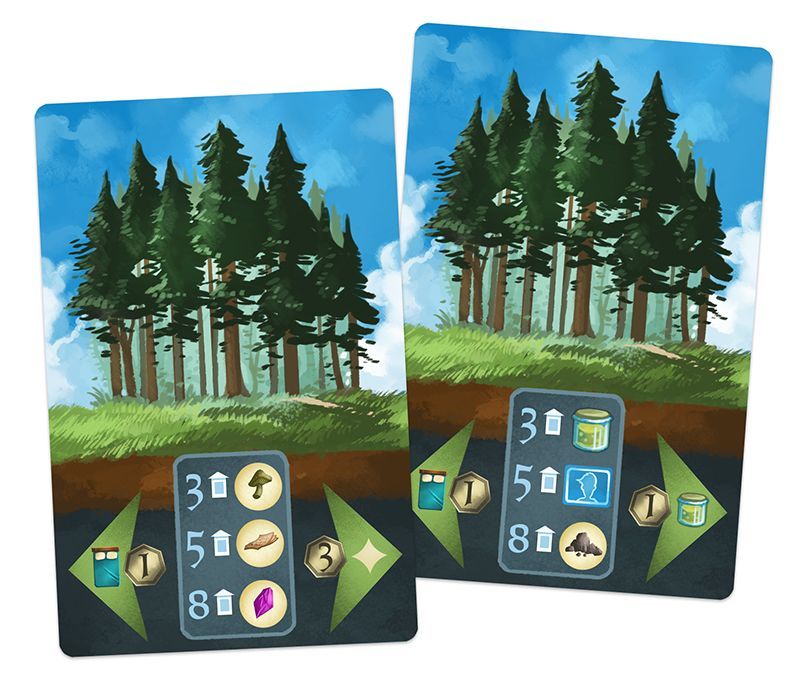 Above and Below: Groves board game cover