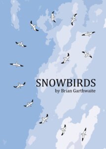 Snowbirds board game cover
