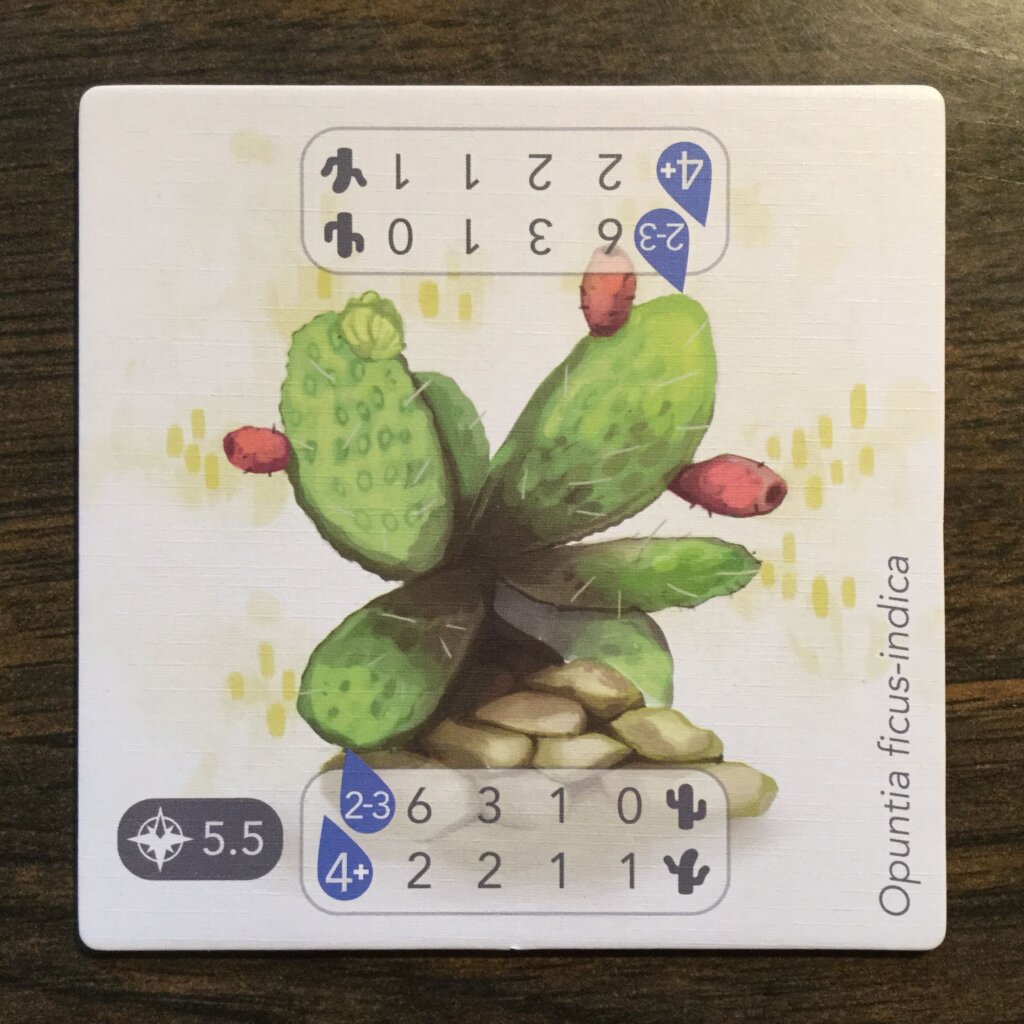 Petrichor: Cactus, Lake & Fertilizer board game cover