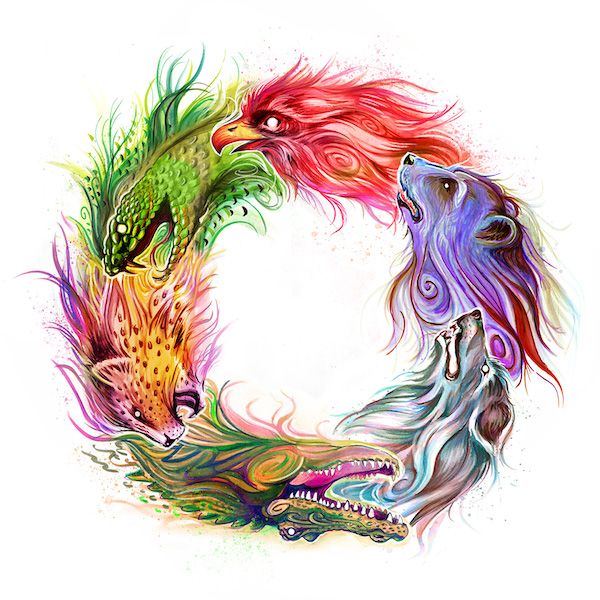 Circle of Life board game cover